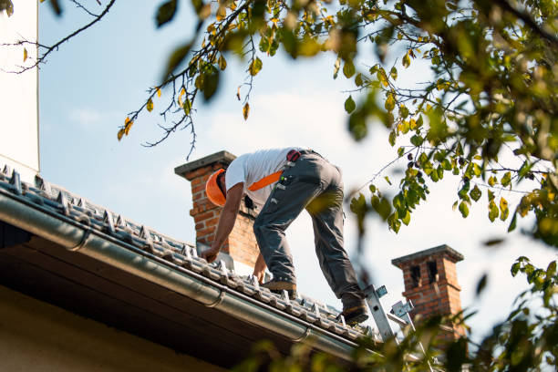 Best Roof Gutter Cleaning  in Dike, IA