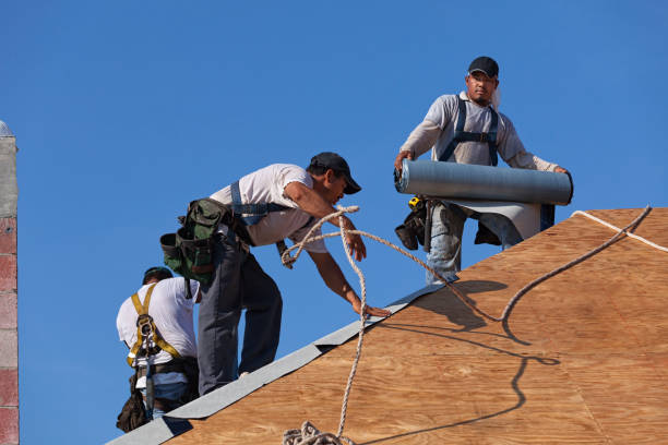 Best Flat Roof Repair Services  in Dike, IA