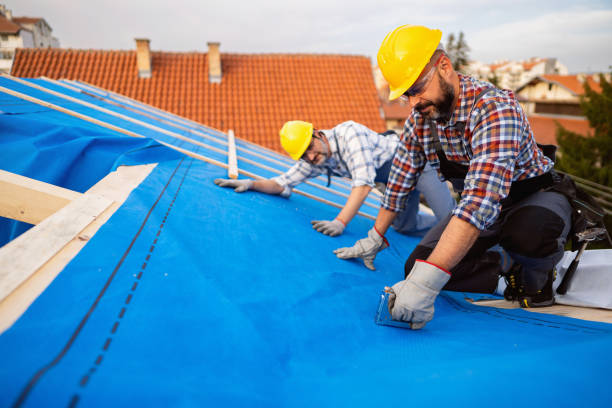 Roof Gutter Cleaning in Dike, IA