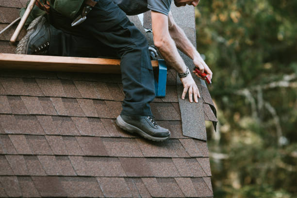 Best Roof Gutter Cleaning  in Dike, IA